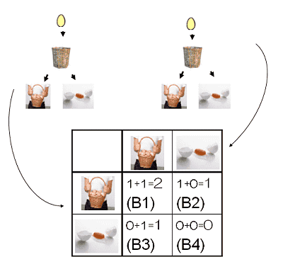 かごを2つにした場合の可能性について詳細を考察してみる