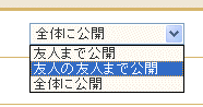 公開レベル選択イメージ