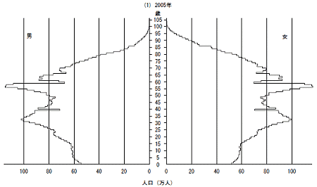 2005年の人口ピラミッド