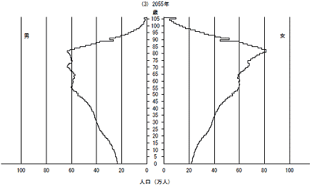 2055年の人口ピラミッド