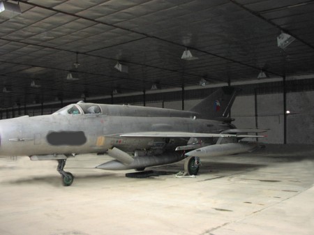 オークションにかけられたミグ21戦闘機。戦闘機とはいってもかなり古い世代のもので、かつ販売しているものは武装が解除されエンジンも取り外されたもの。