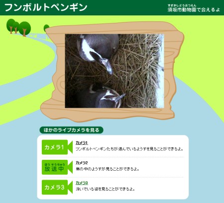 「デジタルアニマルパーク」内フンボルトペンギンのコーナー。巣の中でおねむのようす。