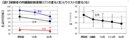 被験者全体の結果平均