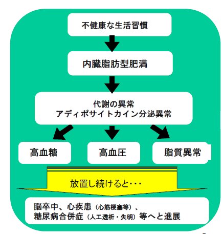 メタボリック症候群と病気の仕組み