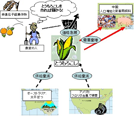 バイオエタノールブームが直接の原因だが、他にもさまざまな要因が重なり、とうもろこしなどの穀物の価格は急騰している。そしてそれが、色々な方面に影響を及ぼし始めている。