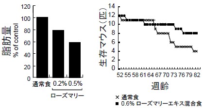 ローズマリーによるマウス実験結果データ