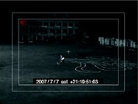 「笹の葉ラプソディ」(?)動画イメージ