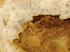 「ハバネロカレーパン」イメージ