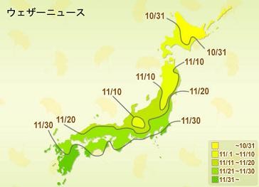 イチョウの色付予測