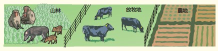 放牧による耕作放棄地の管理と農地の保護の事例