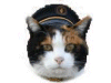 猫駅長「たま」イメージ
