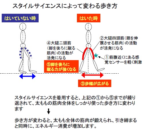 スタイルサイエンスによる歩き方の変化