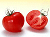 トマトイメージ