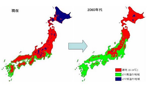 リンゴ栽培の適地の変化。北海道がほぼ全域に納まると共に、関東以南では「現状のままでは」ほぼ採れなくなるとの予想。