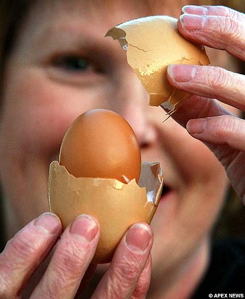 Fran Vincent嬢が買ってきた卵には卵が入っていましたとさ(DailyMailより)
