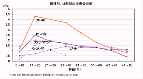 種類・林齢別炭素吸収量(林野庁データ)