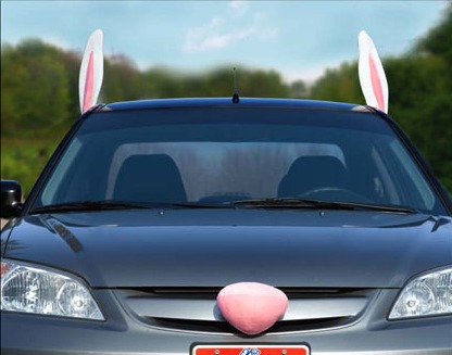 Car Rabbit Ears And Tail