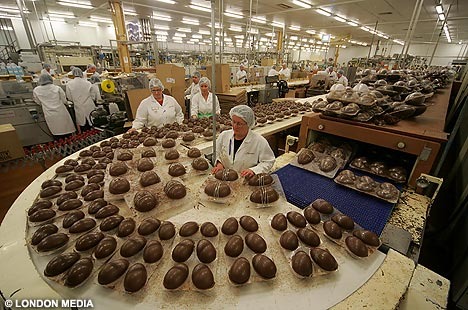 成型されたイースタのチョコレートを検品中。巨大なチョコボールのように見える。チョコレート好きには夢のような職場かもしれない(目の前にして食べられないから、ある意味地獄だろうが(笑))