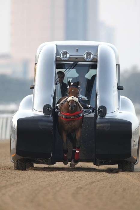 競馬場内のダートを走る「Horse Trainers」