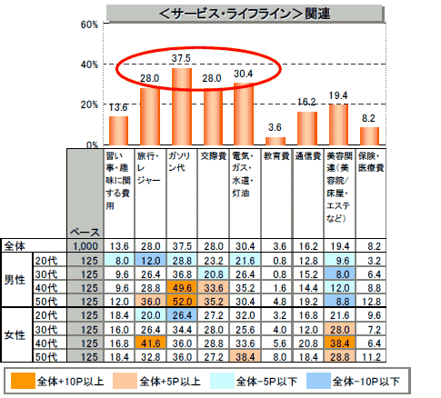 節約しているもの(サービス・ライフライン)