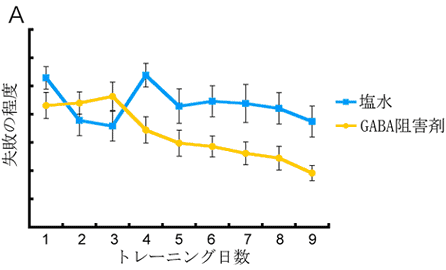 迷路でのマウスのトレーニングの学習(記憶)経過