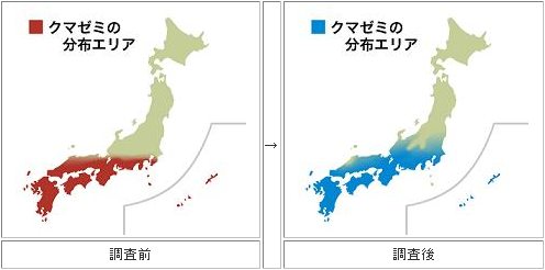 クマゼミ分布調査結果。生息地域が北上しているのが分かる