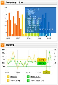 入力データのビジュアル化イメージ