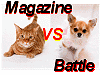 犬と猫イメージ