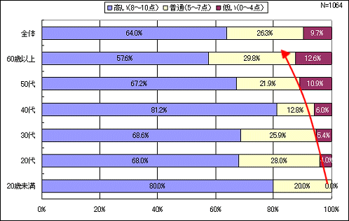 年齢階層別コンピュータ・リテラシー