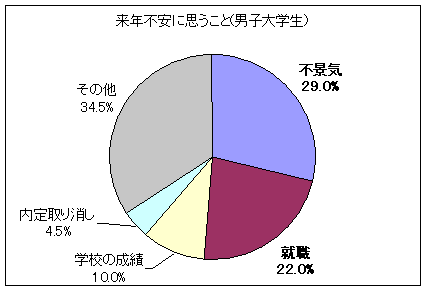 来年不安に思うこと(男子大学生)