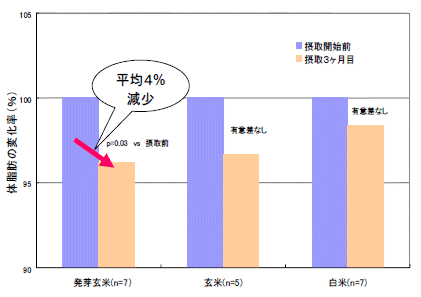 体脂肪率変化