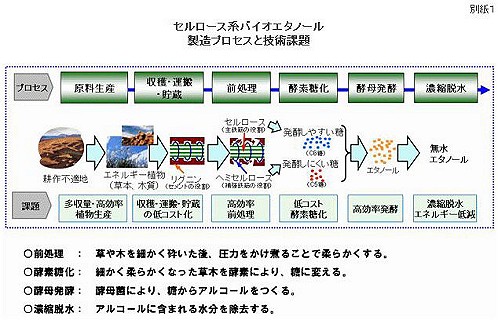 セルロース系バイオエタノール製造プロセスと技術課題