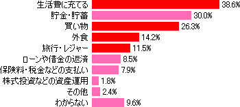 定額給付金が給付されたら、どんな事に使いますか