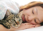 猫にいやされる女性イメージ