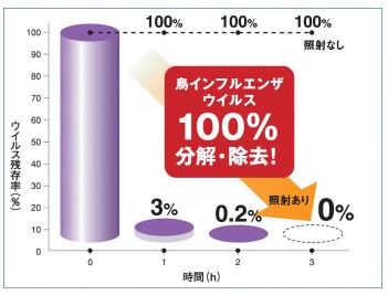 実証実験結果