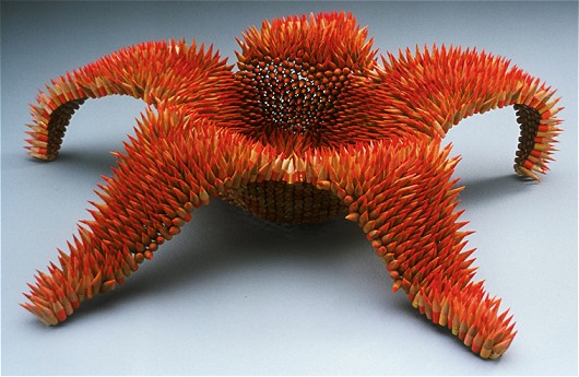 Asteridae。ヒトデのような、とでも訳すのだろうか。