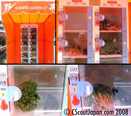 卵自動販売機と野菜自動販売機