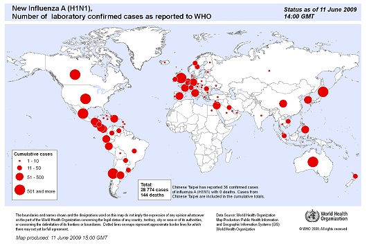 WHO発表の2009年6月11日現在における確認済み感染者数