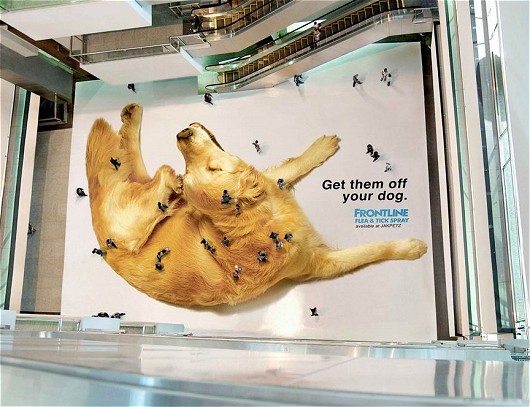 犬猫用ノミ取り薬「フロントライン」の広告