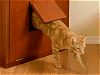 Corner Litter Cabinetイメージ