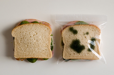 Anti-theft lunch Bag