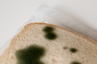 Anti-theft lunch Bagイメージ