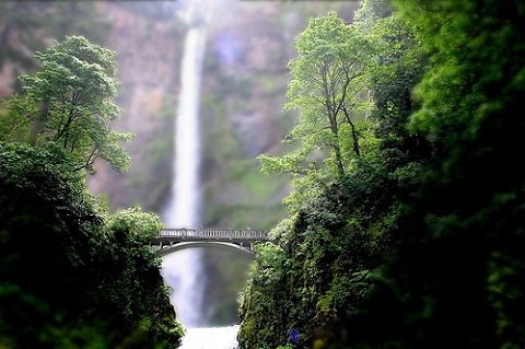 緑に囲まれた滝と橋