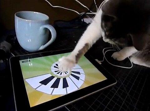 ↑ 続いて立ち上げたのは「マジックピアノ」。画面の動きだけでなく音も鳴るので猫の好奇心はフルスロットル