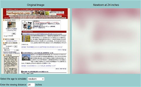 ↑ 当サイトトップページは生まれて間もない赤ちゃんにはこのように見えるわけだ