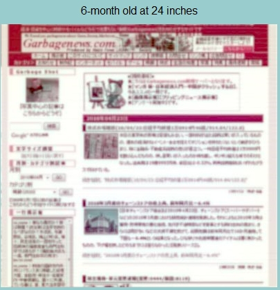 ↑ 6か月に設定するとこんな感じ。形は大体認識できるが色はまだまだ。文字そものもの大きめなもの以外は単なる模様レベル
