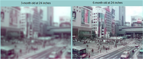 ↑ 実写も必要だろうということで、撮りだめしている写真から東京渋谷駅の駅前通りのものを選んで変換。上は元絵と生まれて間もない時期、下は3か月と6か月。