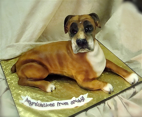 ↑ Boxer dog cake。