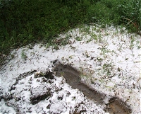 2010年4月17日の積雪・東京練馬