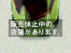 販売休止中
